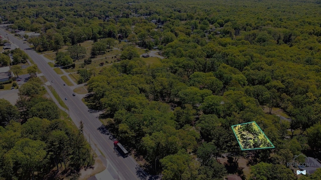 18335 Oakland Dr, New Buffalo, MI 49117 - view of property location with a heavily wooded area and property boundaries highlighted