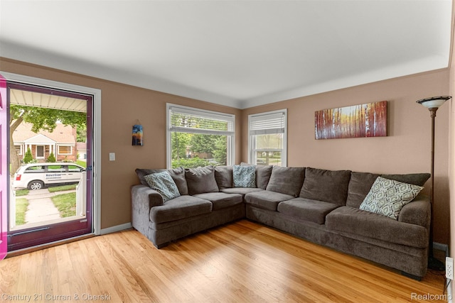 3135 Raymond Ave, Dearborn, MI 48124 - living area with plenty of natural light, light wood-type flooring, and baseboards