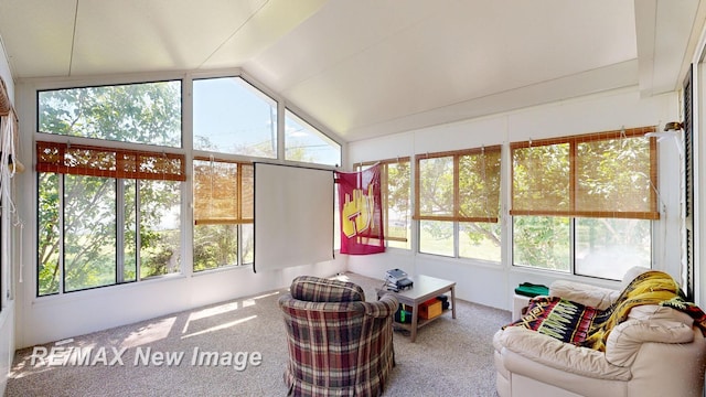 5475 George St, Saginaw, MI 48603 - sunroom featuring carpet flooring and vaulted ceiling