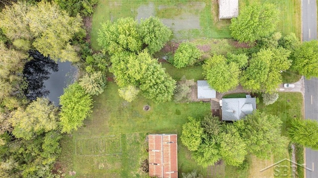 1784 S Badour Rd, Midland, MI 48640 - bird's eye view of a nearby body of water