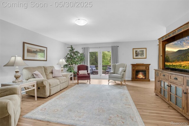 9587 Harmon Ln, South Lyon, MI 48178 - living room featuring a glass covered fireplace, light wood-style floors, and baseboards