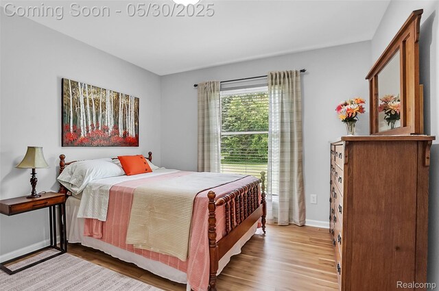 9587 Harmon Ln, South Lyon, MI 48178 - bedroom with wood finished floors and baseboards