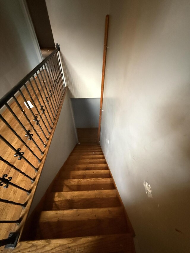 9142 Yorkshire Rd, Detroit, MI 48224 - photo 20