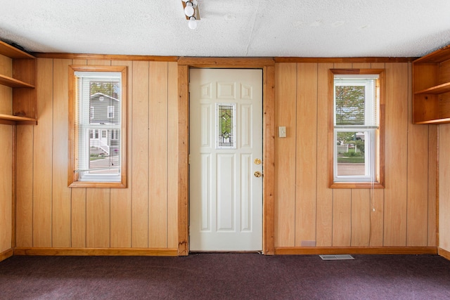 222 Oak St, South Haven, MI 49090 - entryway with dark carpet, wood walls, baseboards, and a textured ceiling