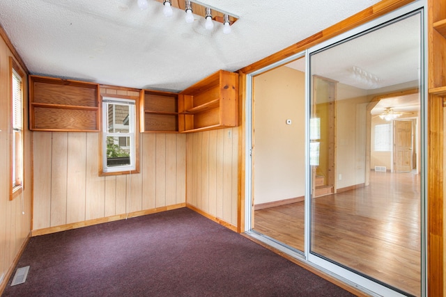 222 Oak St, South Haven, MI 49090 - unfurnished room with baseboards, dark carpet, wood walls, and a textured ceiling