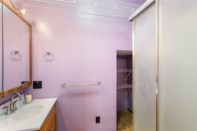 222 Oak St, South Haven, MI 49090 - full bathroom with vanity, a shower with shower door, and a spacious closet