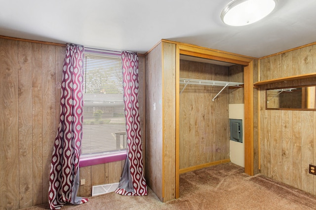 222 Oak St, South Haven, MI 49090 - unfurnished bedroom with wood walls, electric panel, carpet, and a closet