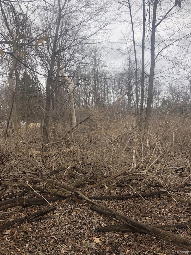 0 Massena Ave, Commerce Twp, MI 48382