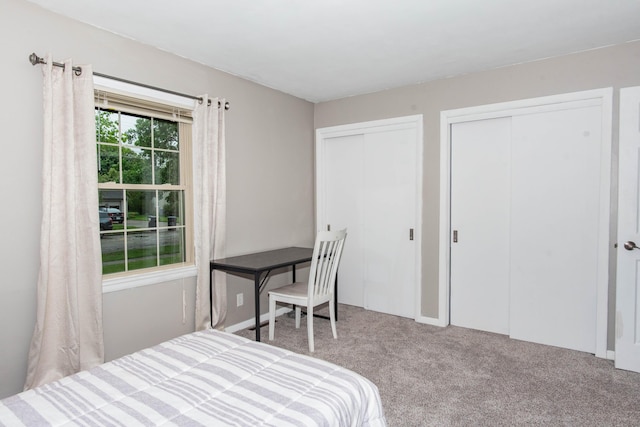 1419 Vassar Dr, Kalamazoo, MI 49001 - bedroom with two closets and carpet