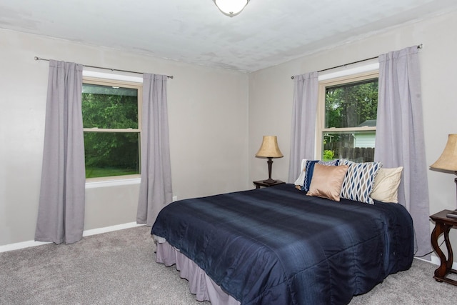 1419 Vassar Dr, Kalamazoo, MI 49001 - bedroom with light colored carpet and baseboards