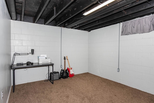 1419 Vassar Dr, Kalamazoo, MI 49001 - finished basement with carpet flooring and concrete block wall