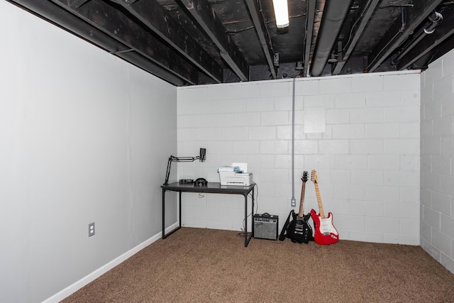 1419 Vassar Dr, Kalamazoo, MI 49001 - unfinished below grade area with carpet floors and concrete block wall