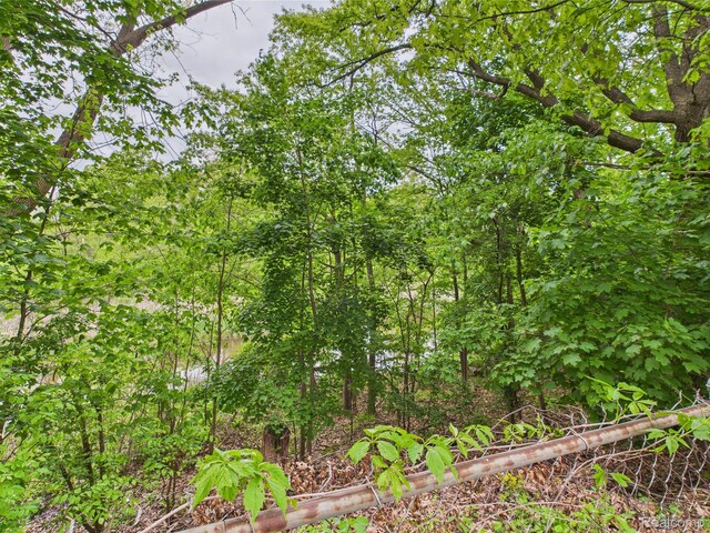 4257 Tommy Armour Dr, Flint, MI 48506 - photo 24