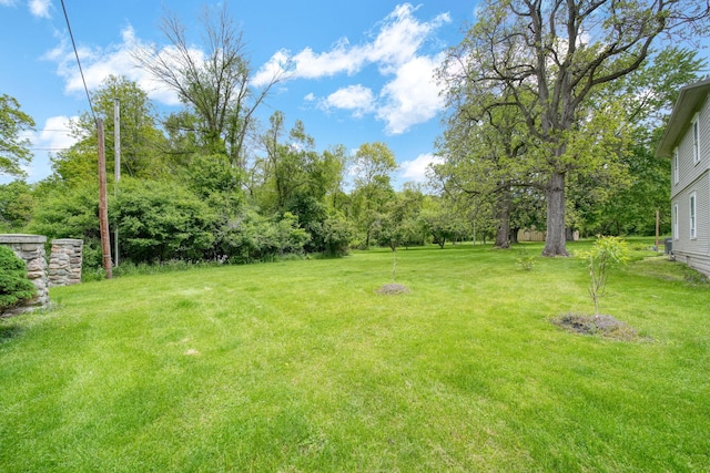 7331 Browns Lake Rd, Jackson, MI 49201 - view of green lawn
