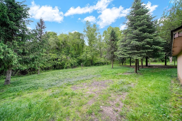 7331 Browns Lake Rd, Jackson, MI 49201 - view of yard