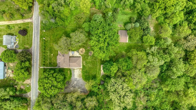 7331 Browns Lake Rd, Jackson, MI 49201 - drone / aerial view