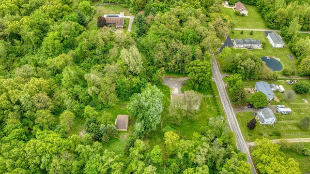 7331 Browns Lake Rd, Jackson, MI 49201 - bird's eye view