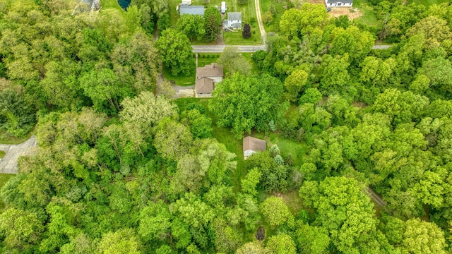 7331 Browns Lake Rd, Jackson, MI 49201 - aerial overview of property's location