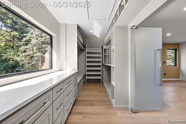 1367 W Long Lake Rd, Bloomfield Hills, MI 48302 - walk in closet with light wood finished floors