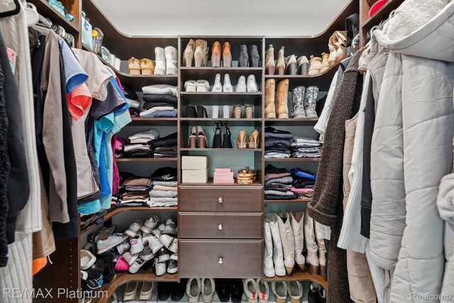 4298 Emu Dr, Pinckney, MI 48169 - view of spacious closet