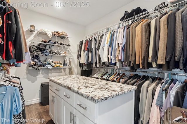 6268 Victoria Ln, Swartz Creek, MI 48473 - walk in closet featuring dark wood-type flooring
