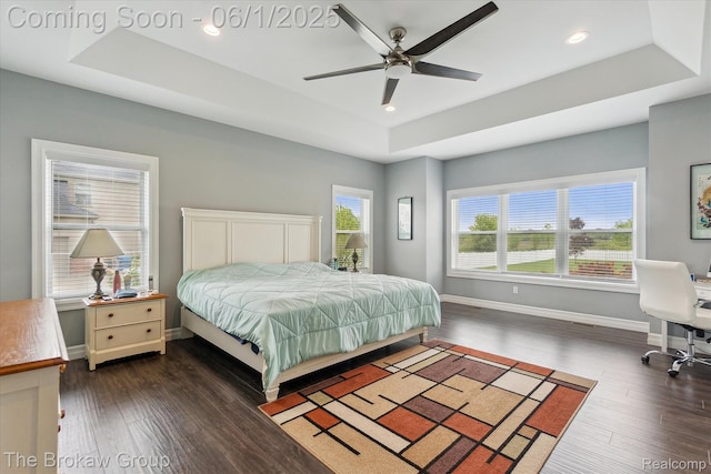 6268 Victoria Ln, Swartz Creek, MI 48473 - bedroom with a tray ceiling, wood finished floors, baseboards, recessed lighting, and an office area