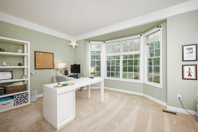50550 W Fellows Creek Ct, Plymouth, MI 48170 - office space with ornamental molding, light carpet, healthy amount of natural light, and baseboards