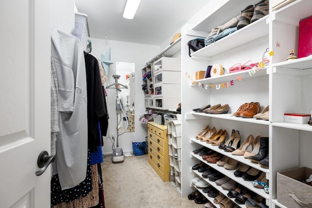 50550 W Fellows Creek Ct, Plymouth, MI 48170 - spacious closet with carpet