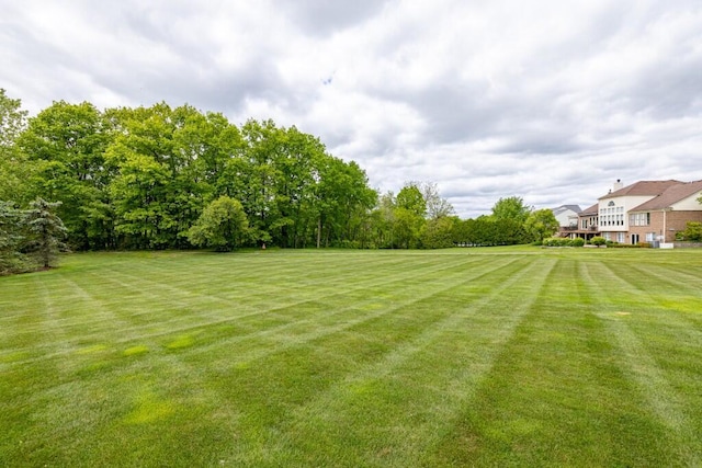 50550 W Fellows Creek Ct, Plymouth, MI 48170 - view of grassy yard