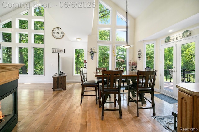 13135 Eagle Ct, South Lyon, MI 48178 - dining space with high vaulted ceiling, a multi sided fireplace, light wood finished floors, and baseboards