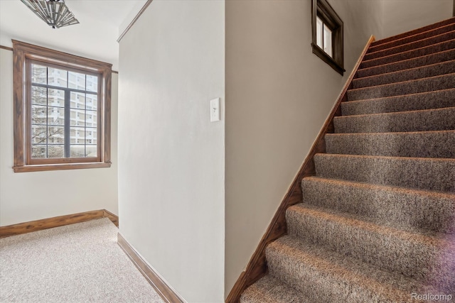 925 Avon St, Flint, MI 48503 - stairs with baseboards and carpet flooring