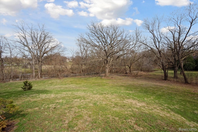 925 Avon St, Flint, MI 48503 - view of grassy yard