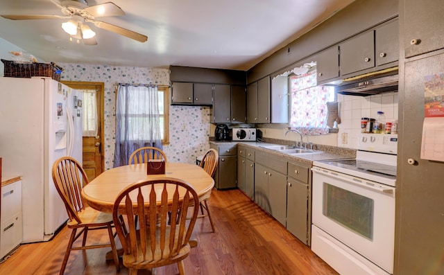 13 W 17th St, Holland, MI 49423 - kitchen with white appliances, a sink, wallpapered walls, light wood finished floors, and ceiling fan
