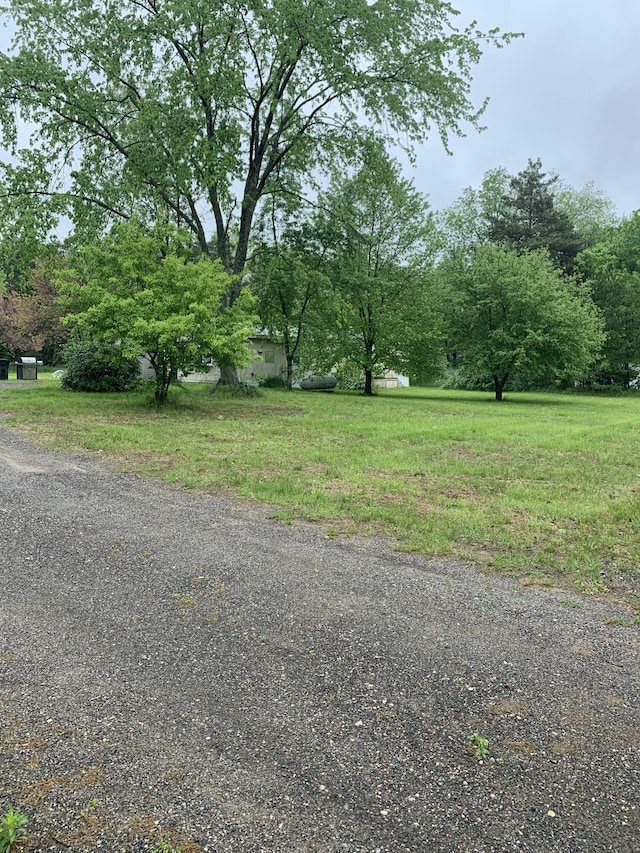 5501 Egner St NE, Cedar Springs, MI 49319 - view of street
