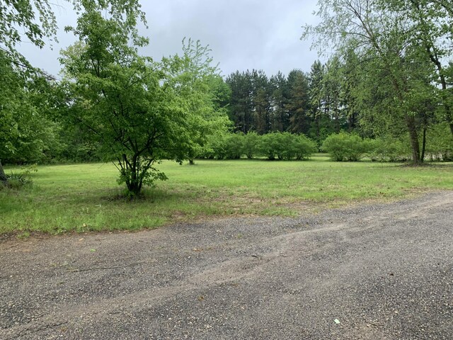 5501 Egner St NE, Cedar Springs, MI 49319 - view of street featuring a forest view