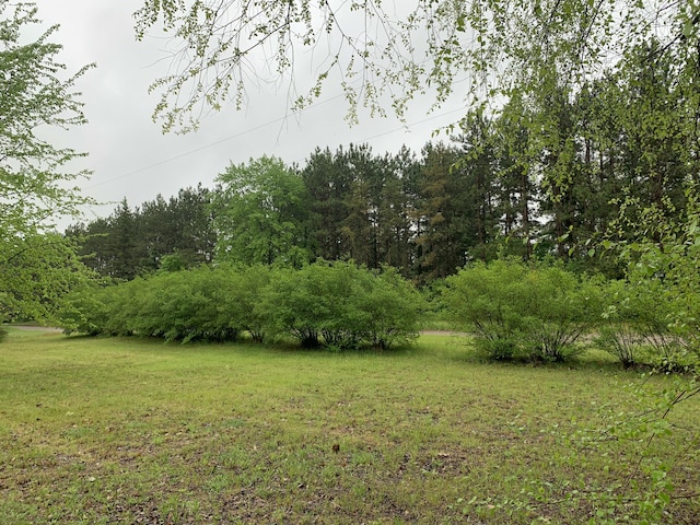 5501 Egner St NE, Cedar Springs, MI 49319 - view of grassy yard