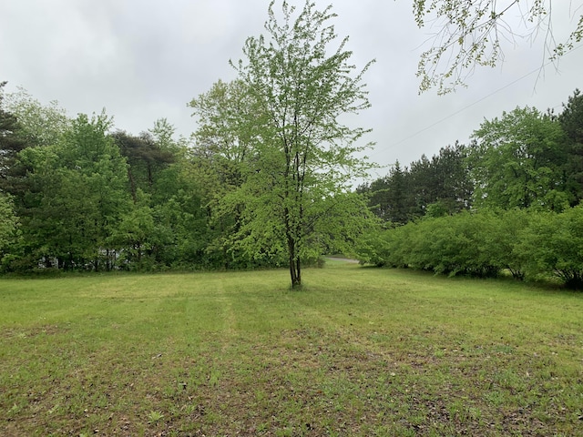 5501 Egner St NE, Cedar Springs, MI 49319 - view of grassy yard featuring a forest view