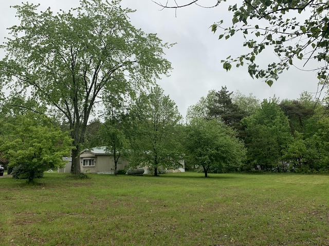 5501 Egner St NE, Cedar Springs, MI 49319 - view of green lawn