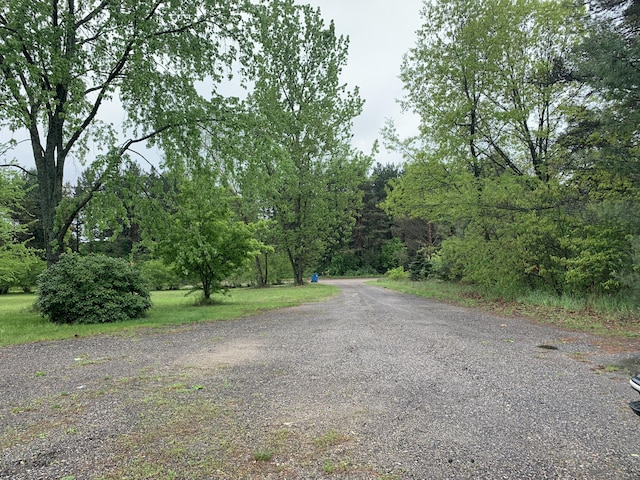 5501 Egner St NE, Cedar Springs, MI 49319 - view of road featuring a view of trees