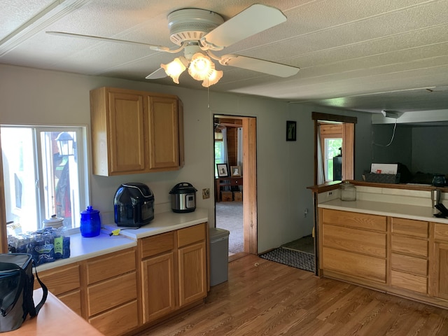5501 Egner St NE, Cedar Springs, MI 49319