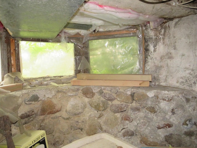 236 S Jeffery Ave, Ithaca, MI 48847 - basement view