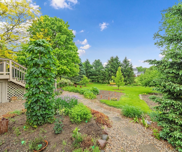 702 Starfield Dr, Pinckney, MI 48169 - view of yard featuring stairway