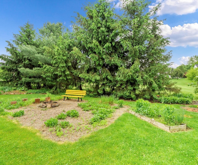 702 Starfield Dr, Pinckney, MI 48169 - view of grassy yard with a fire pit