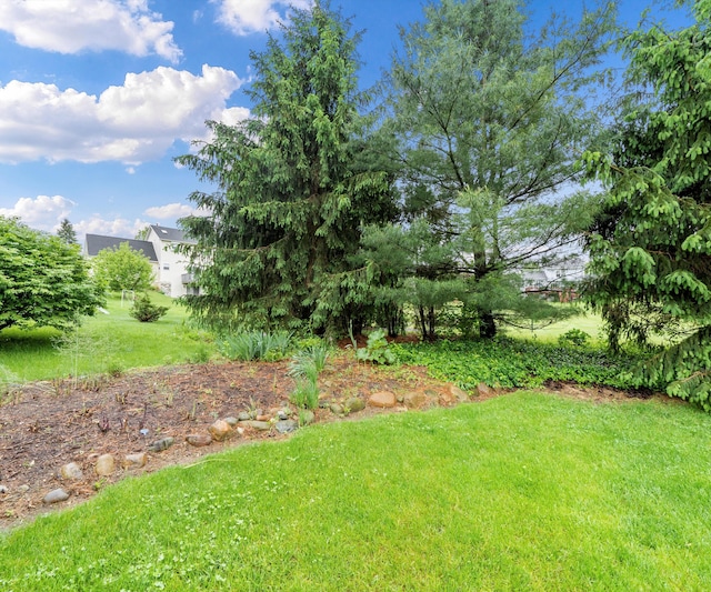 702 Starfield Dr, Pinckney, MI 48169 - view of green lawn