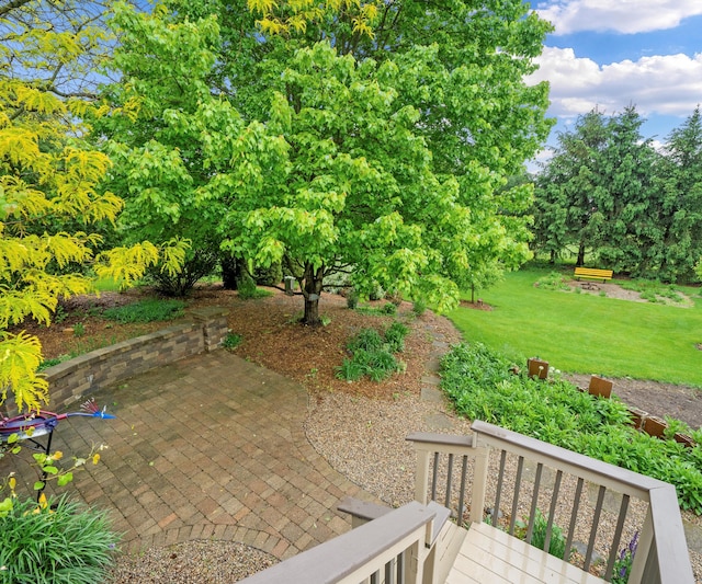 702 Starfield Dr, Pinckney, MI 48169 - view of green lawn with a patio and view of scattered trees