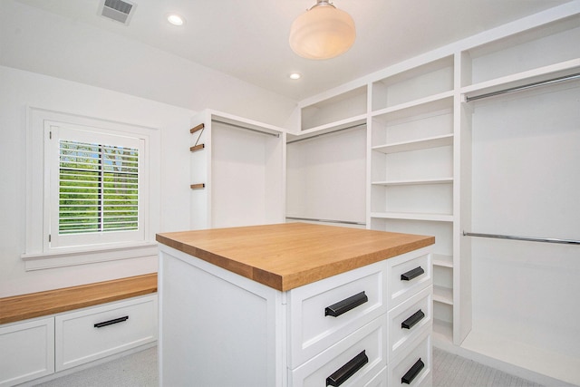 310 Lakeside Dr SE, East Grand Rapids, MI 49506 - view of walk in closet