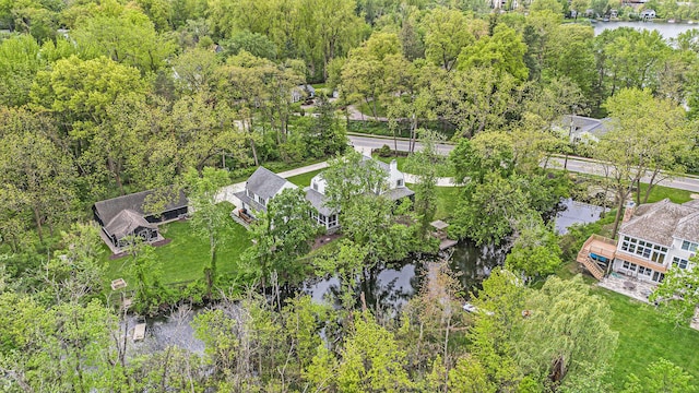 310 Lakeside Dr SE, East Grand Rapids, MI 49506 - bird's eye view of a nearby body of water