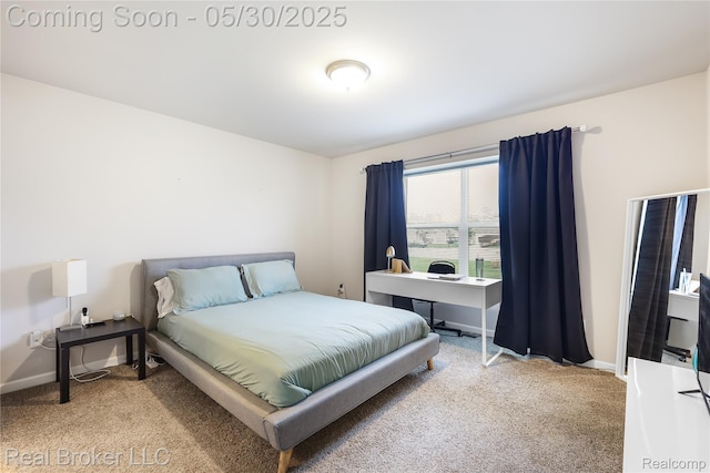 4428 Cross Creek Blvd, Burton, MI 48509 - bedroom with carpet and baseboards
