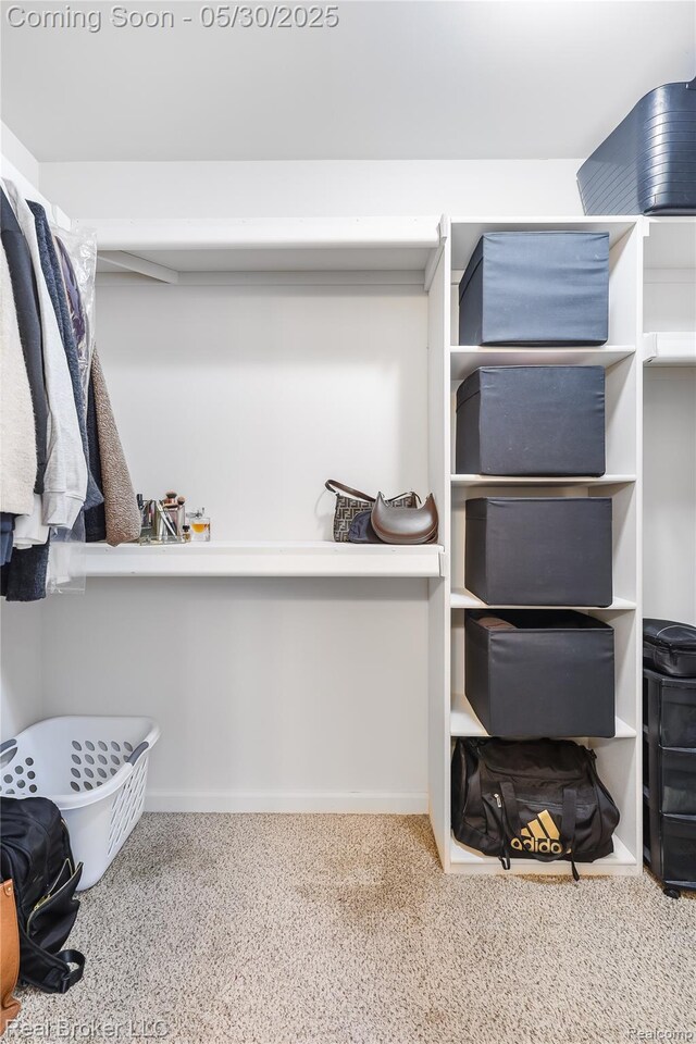 4428 Cross Creek Blvd, Burton, MI 48509 - view of spacious closet
