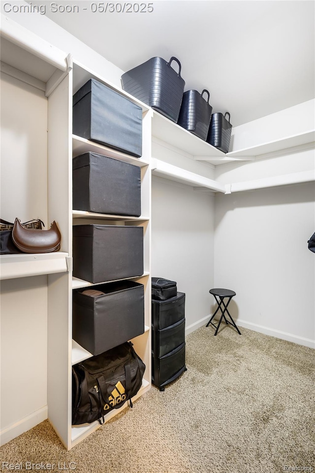 4428 Cross Creek Blvd, Burton, MI 48509 - walk in closet featuring carpet floors